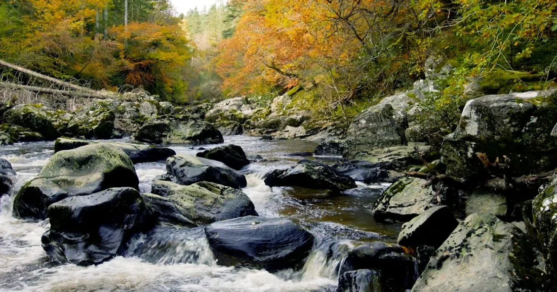 Dunkeld & The Hermitage, Edinburgh